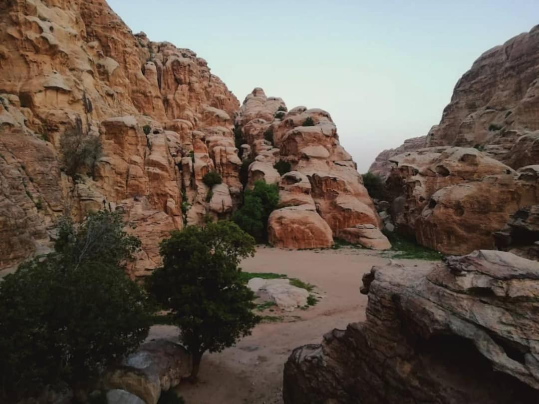 Euphoria Guest House Wadi Musa Dış mekan fotoğraf